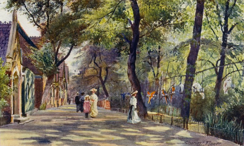 Zoo de Londres : Maisons des perroquets et des éléphants - Charles Edwin Flower