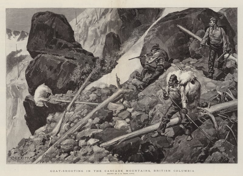 Chasse aux chèvres dans les montagnes Cascade, Colombie-Britannique - Charles Edwin Fripp