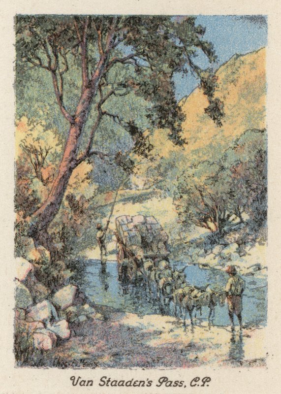 Afrique du Sud : Le col de Van Staaden, CP - Charles Ernest Peers