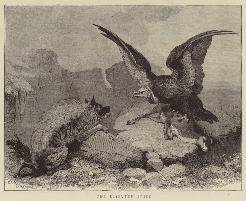 Le Prix Contesté - Charles Harvey Weigall
