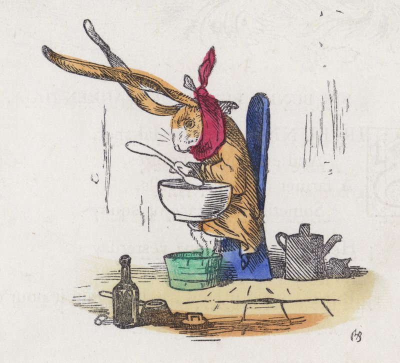 Lapin souffrant d