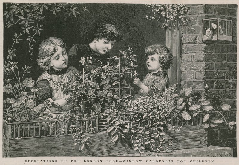 Récréations des pauvres de Londres : Jardinage de fenêtre pour enfants - Charles J. Staniland