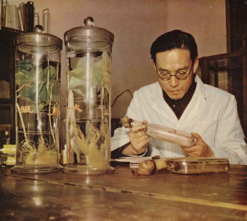 Chimiste agricole chinois de l