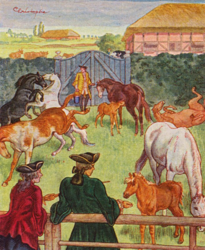 Gestüt - Christophe (1856 1945)