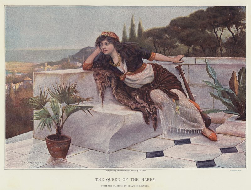 La reine du harem - Delapoer Downing