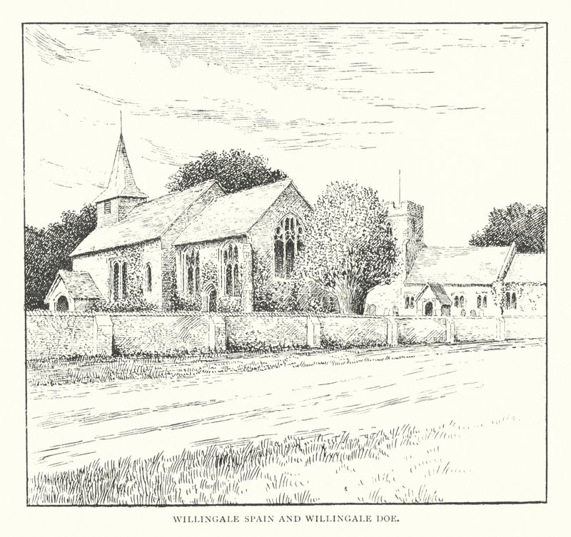 Willingale Spain et Willingale Doe - Duncan Moul