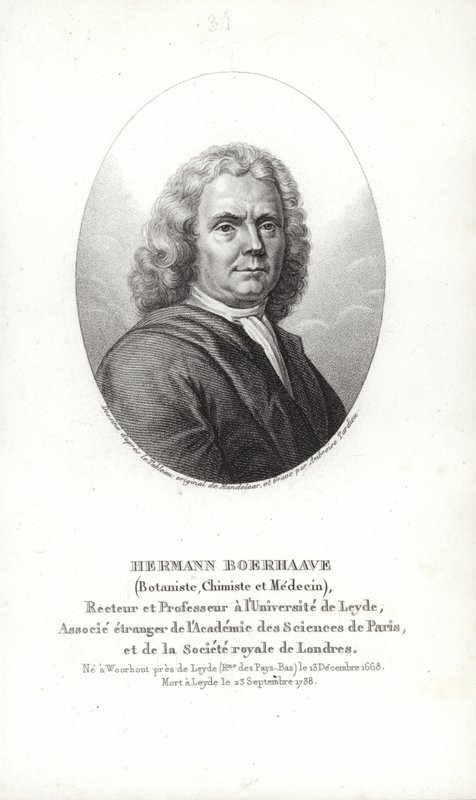 Herman Boerhaave - Dutch School