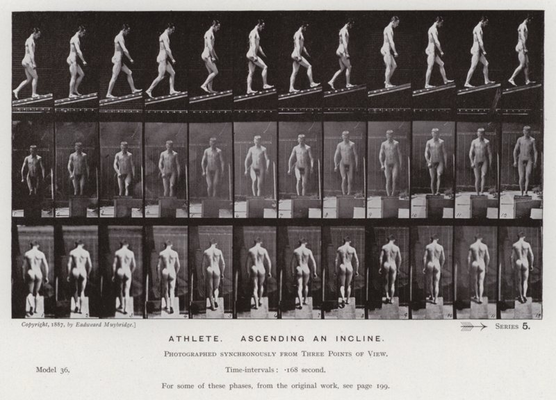 La Figure Humaine en Mouvement : Athlète, montant une pente - Eadweard Muybridge