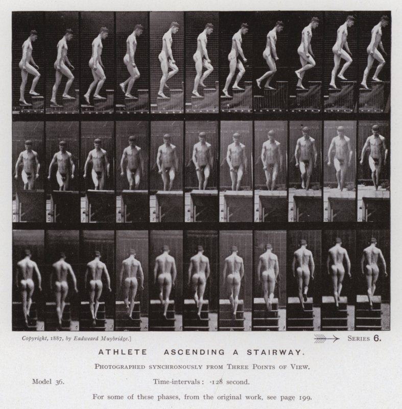La Figure Humaine en Mouvement : Athlète, monter un escalier - Eadweard Muybridge