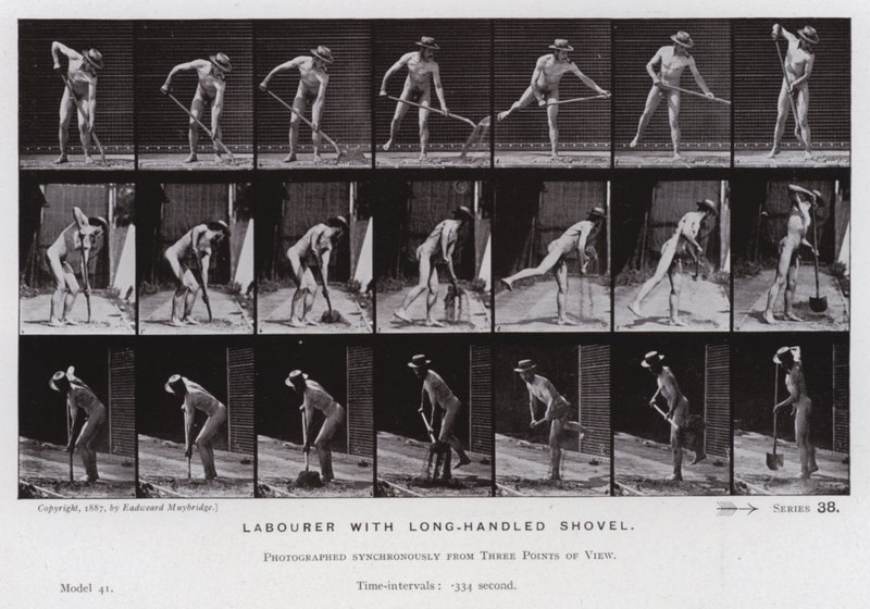 La figure humaine en mouvement : Travailleur avec une pelle à long manche (photo n/b) - Eadweard Muybridge