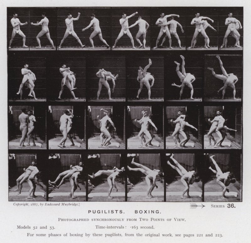 La Figure Humaine en Mouvement : Pugilistes, Boxe - Eadweard Muybridge