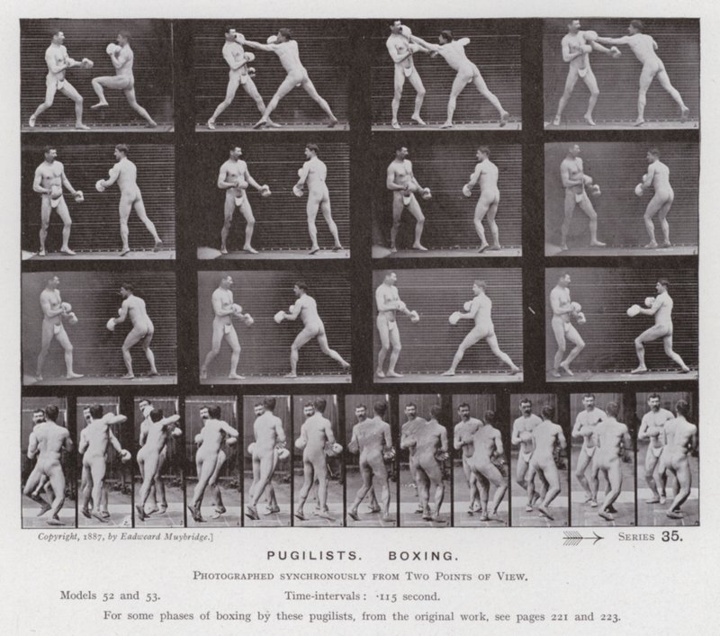La figure humaine en mouvement : Pugilistes, boxe - Eadweard Muybridge