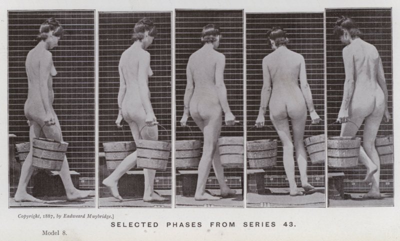 La Figure Humaine en Mouvement : Phases sélectionnées de la série 43 - Eadweard Muybridge
