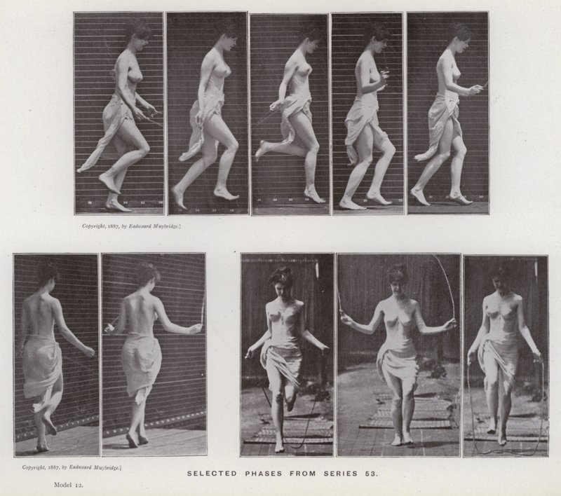 La figure humaine en mouvement : Phases sélectionnées de la série 53 - Eadweard Muybridge