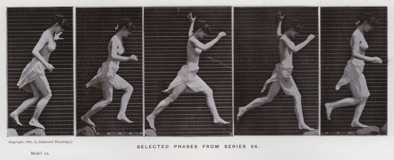 La figure humaine en mouvement : Phases sélectionnées de la série 54 - Eadweard Muybridge