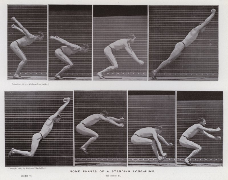 La figure humaine en mouvement : Quelques phases de saut en longueur - Eadweard Muybridge