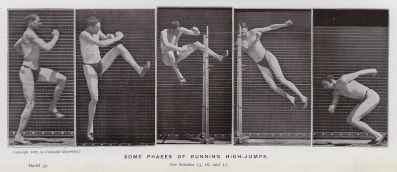 La figure humaine en mouvement : Quelques phases de saut en hauteur - Eadweard Muybridge