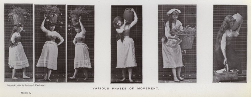 La Figure Humaine en Mouvement : Diverses phases de mouvement - Eadweard Muybridge
