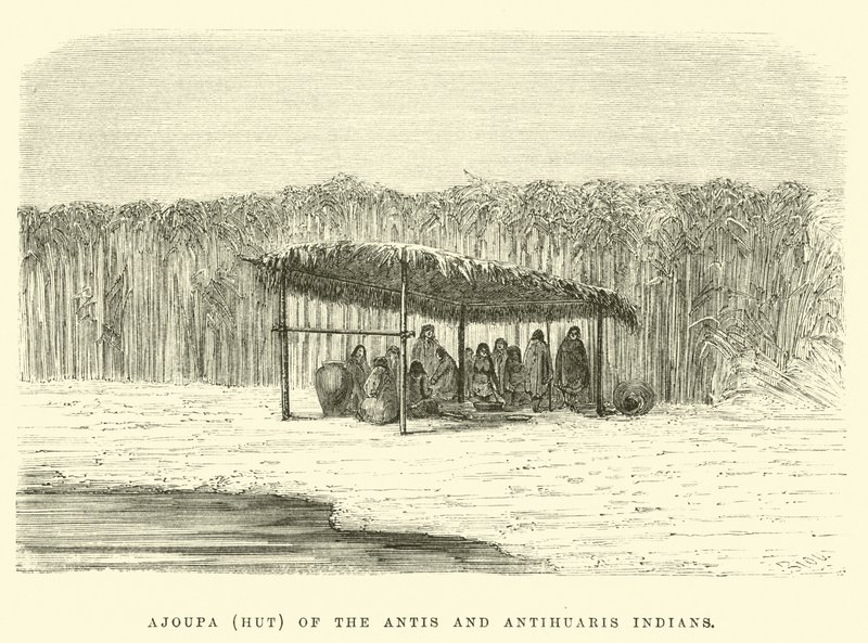 Ajoupa (hutte) des Indiens Antis et Antihuaris - Edouard Riou