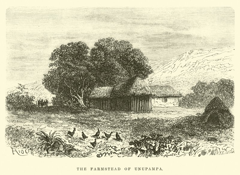 La ferme d