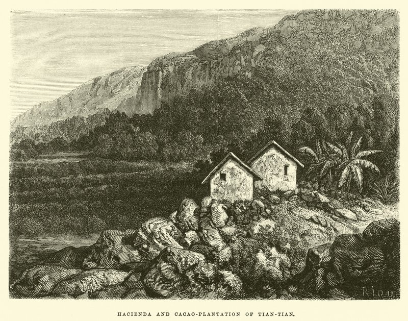 Hacienda et plantation de cacao de Tian-tian - Edouard Riou