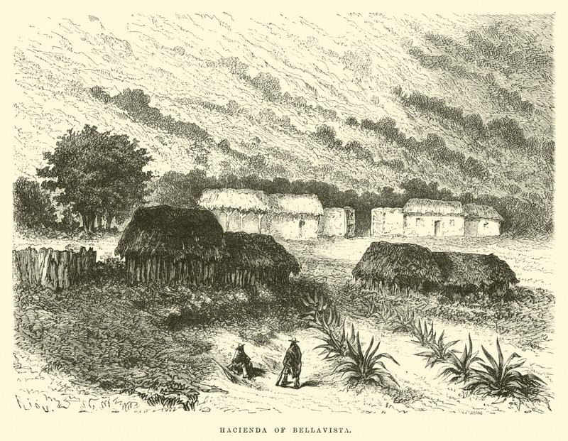 Hacienda de Bellavista - Edouard Riou