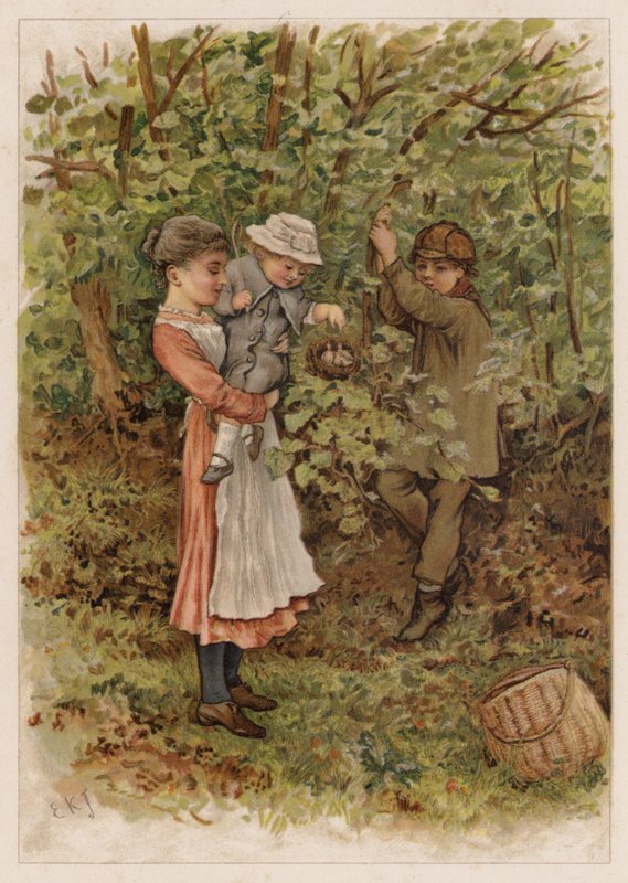 Flapsy et Pecksy - Edward Killingworth Johnson