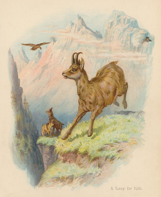 Un saut pour la vie (lithographie en couleur) - Edward Brice Montefiore