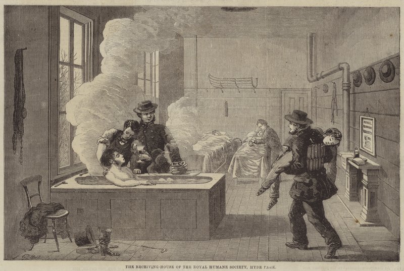 La Maison de Réception de la Société Royale Humaine, Hyde Park - Edward Hull