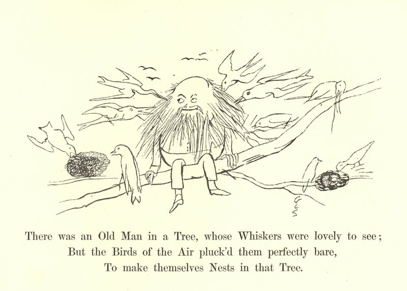 Il y avait un vieil homme dans un arbre, dont les moustaches étaient magnifiques à voir - Edward Lear