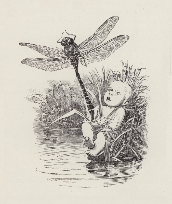Illustration pour Les Enfants de l