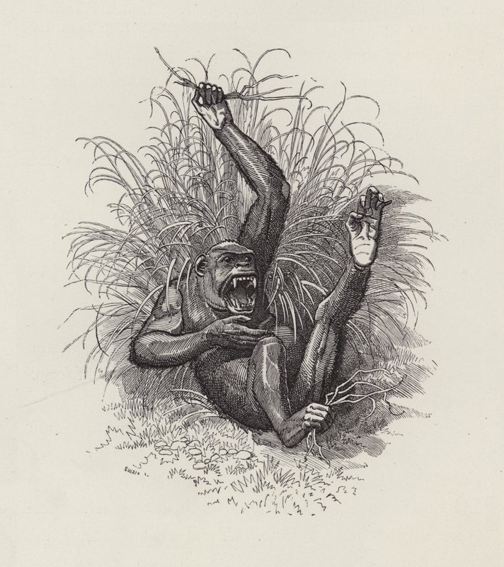 Illustration pour Les Enfants de l