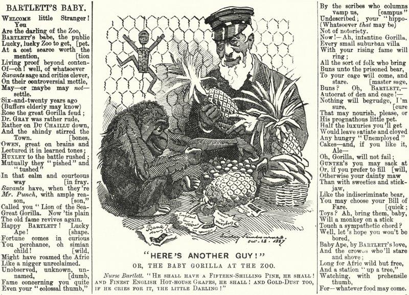 Caricature de Punch : Abraham Dee Bartlett, surintendant du zoo de Londres, et un bébé gorille - Edward Linley (after) Sambourne