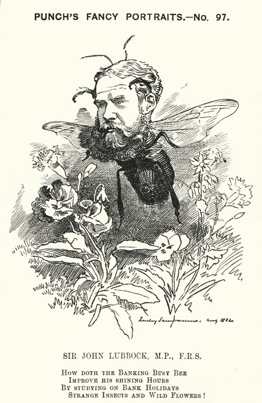 Caricature de Punch : John Lubbock - Edward Linley (after) Sambourne