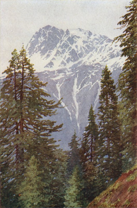 Kotwal de la forêt au-dessus de Kangan, vallée de Sind - Edward Mary Joseph Molyneux