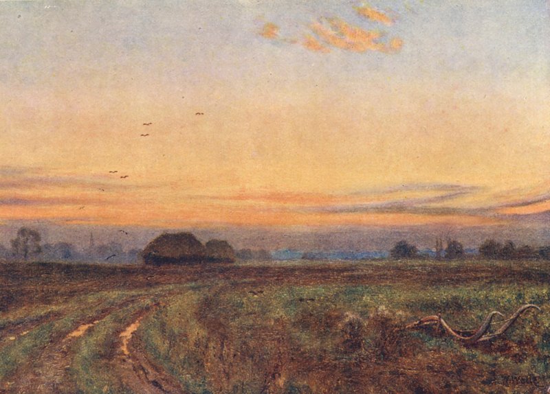 Le soleil se couche... La Terre, comme un enfant fatigué, tourne son visage vers le sein de la nuit - Edward Wilkins Waite