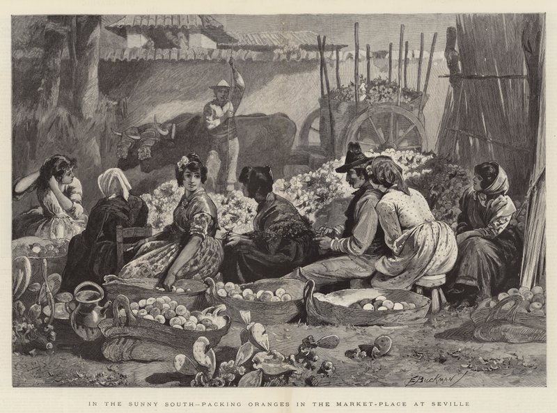 Dans le Sud ensoleillé, emballage des oranges sur la place du marché à Séville - Edwin Buckman