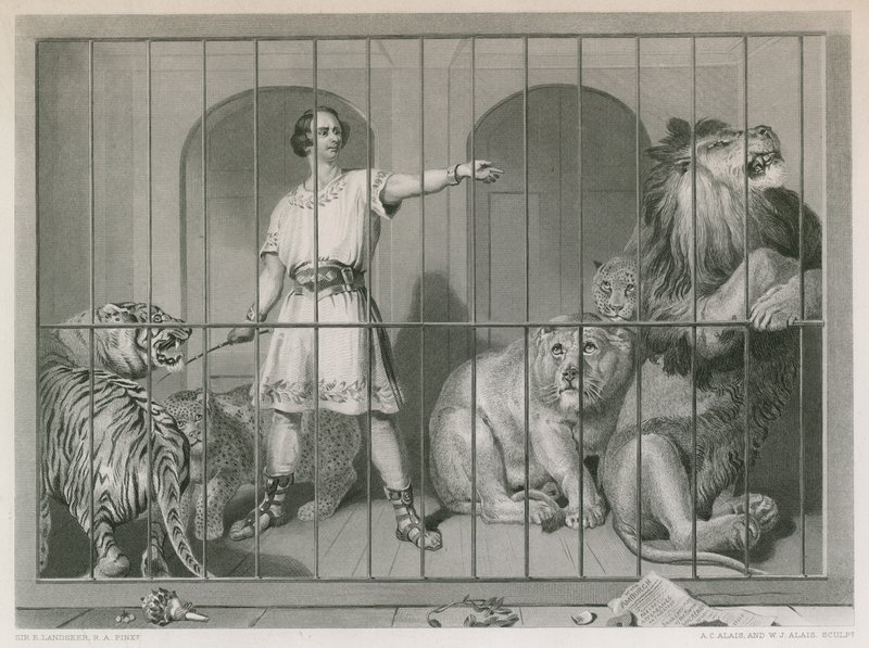 Van Amburgh et les lions - Edwin Landseer