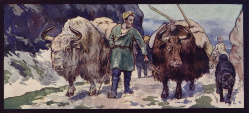 Un train de yaks tibétains - Edwin Noble