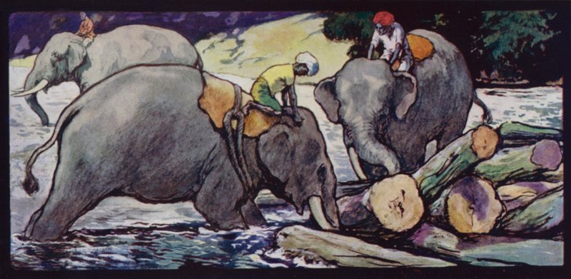 Éléphants manipulant des bûches dans la rivière - Edwin Noble