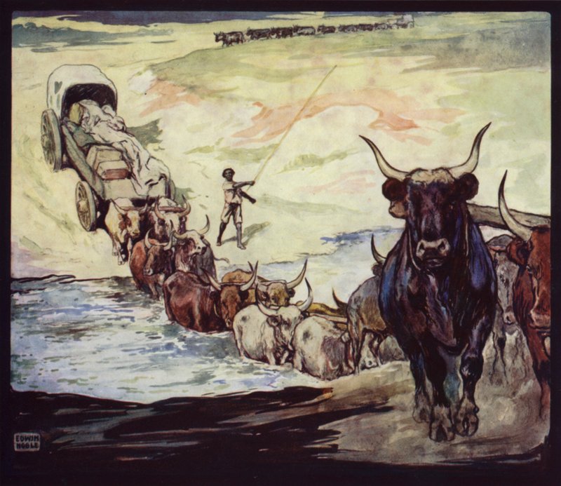 Bœufs traversant une rivière en Afrique du Sud - Edwin Noble