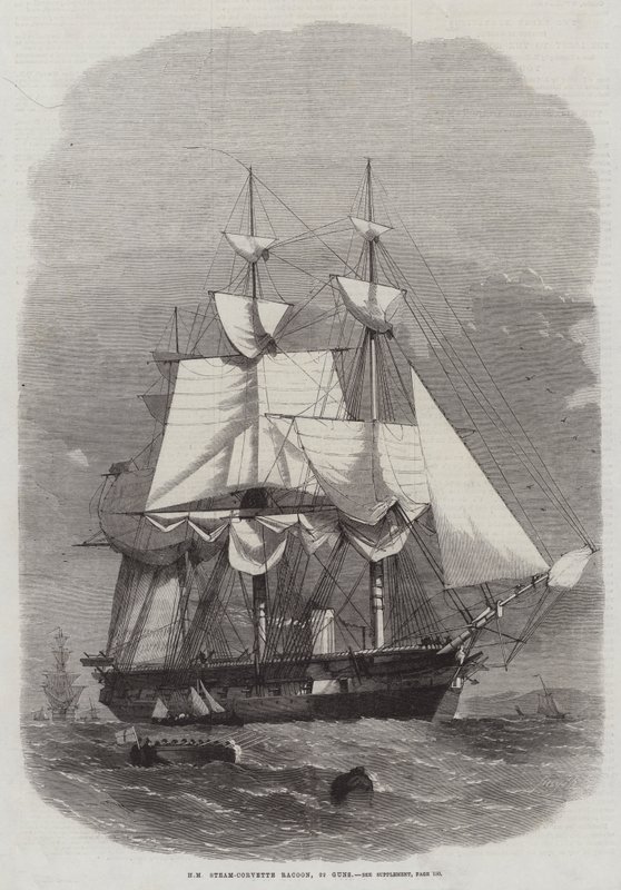 HM Steam-Corvette Racoon, 22 canons - Edwin Weedon