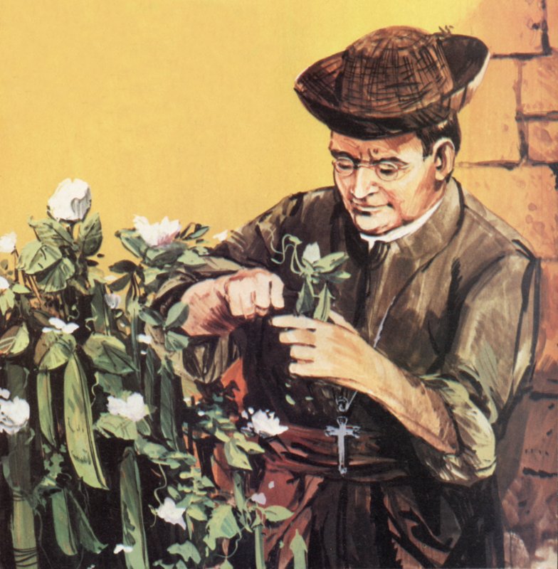 Johann Mendel travaillant dans le jardin de son monastère - English School