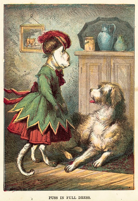Le chat en grande tenue - English School