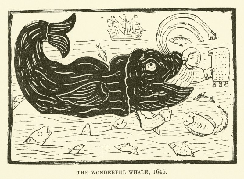 La baleine merveilleuse, 1645 - English School