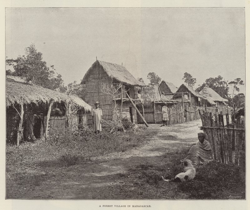 Un village forestier à Madagascar - English Photographer