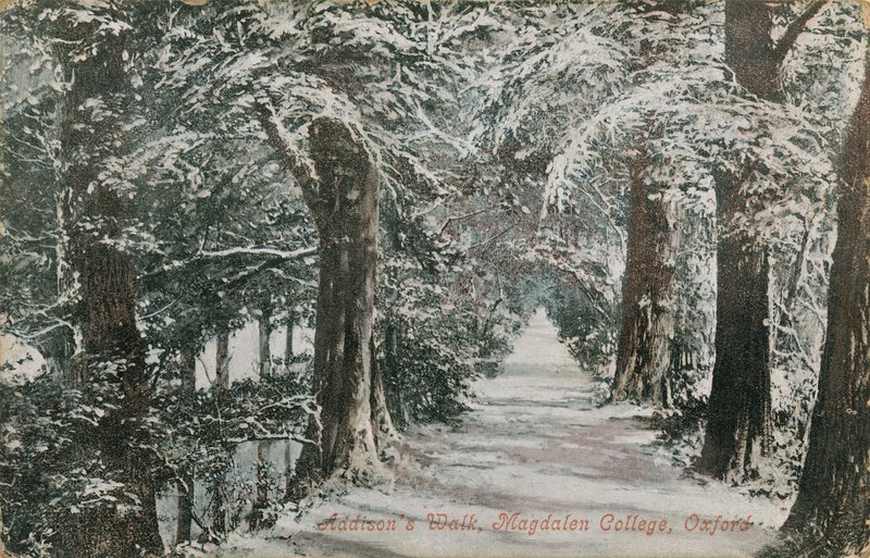 Addisons Walk, Magdalen College, Oxford - English Photographer