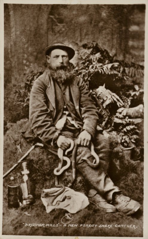 Brusher Mills, un attrapeur de serpents de la New Forest - English Photographer