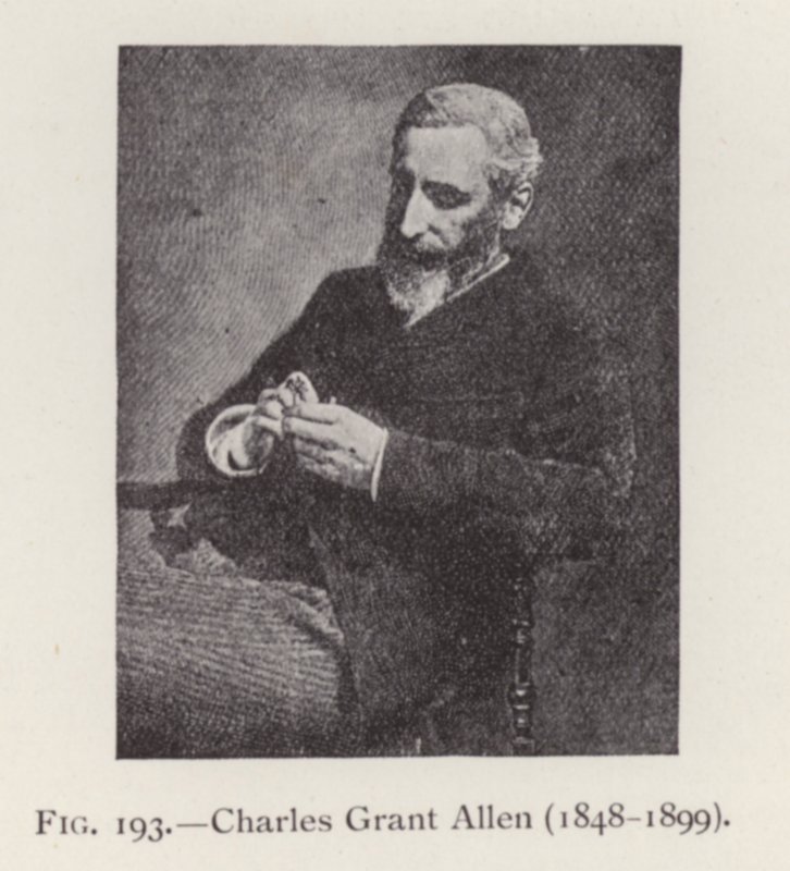 Charles Grant Allen (1848-1899), portrait - English Photographer