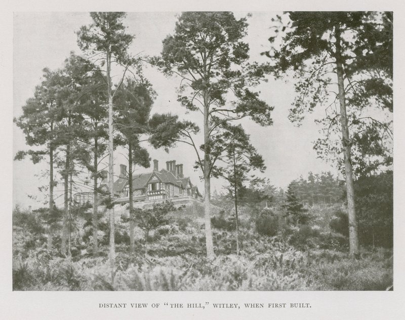 Vue lointaine de The Hill, Witley, Surrey, lors de sa première construction - English Photographer